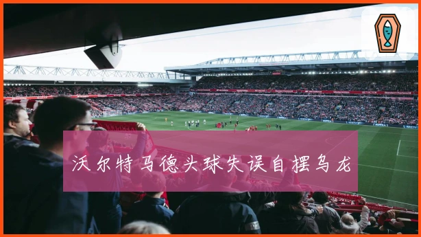 沃尔特马德头球失误自摆乌龙