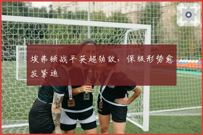 埃弗顿战平英超劲敌,保级形势愈发紧迫