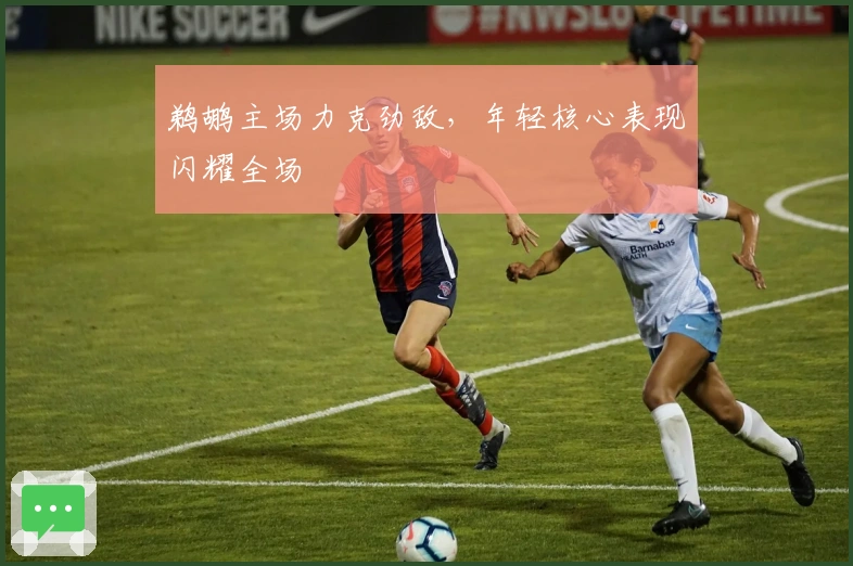 鹈鹕主场力克劲敌，年轻核心表现闪耀全场